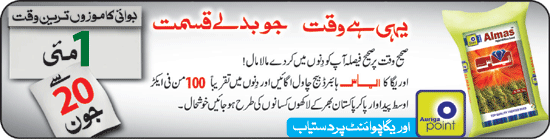 epaper